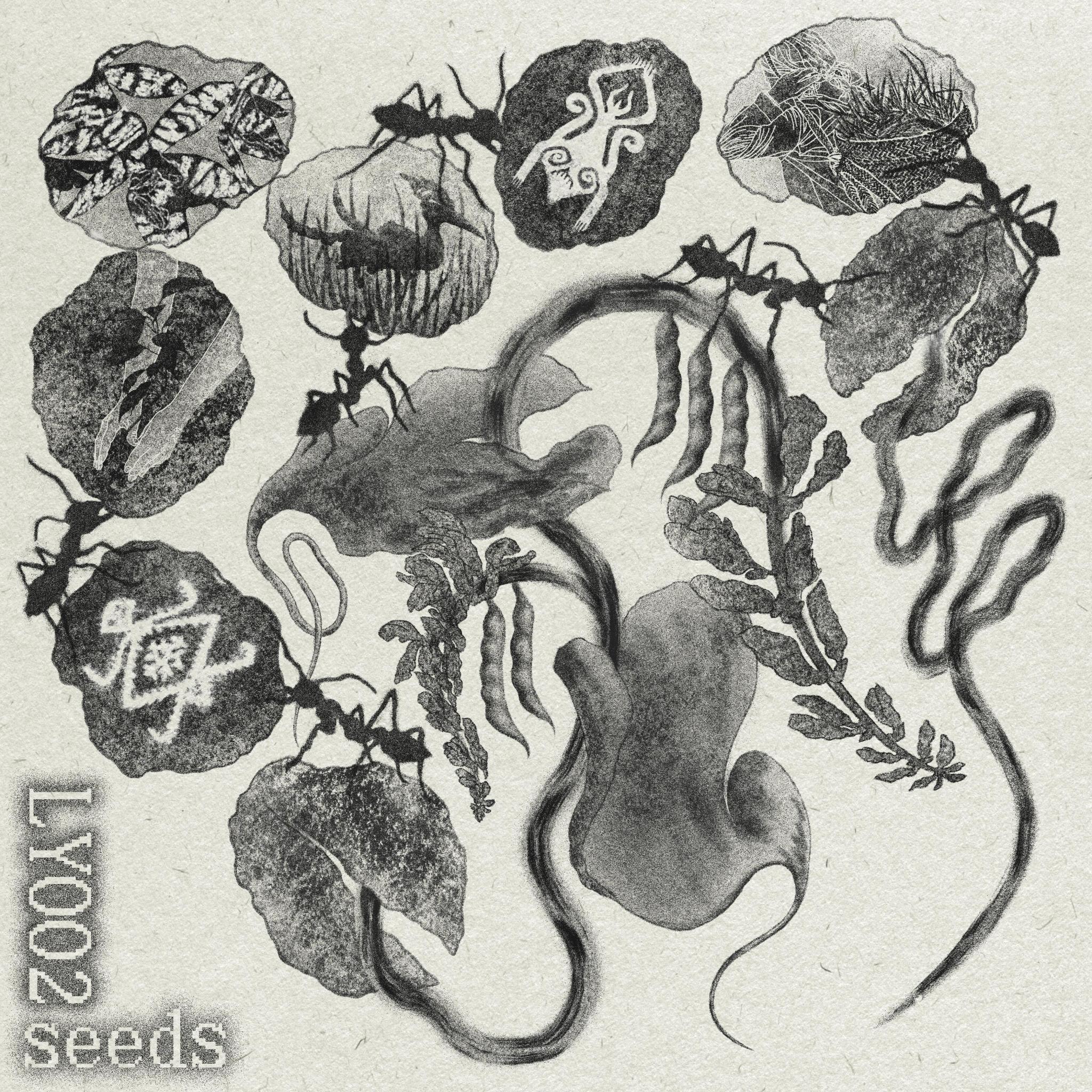 Image Description: The album cover of the mixtape features sketches of a plant sprouting and carpenter ants carrying seeds with Lumad imagery.